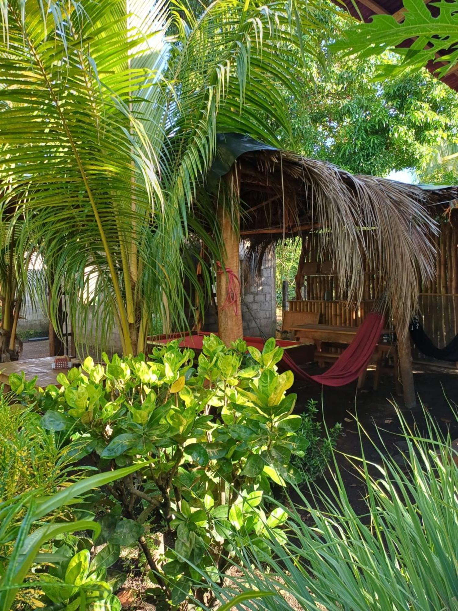 Cabanas Privadas Dilany Moyogalpa Buitenkant foto
